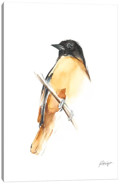 Watercolor Songbirds VI Canvas Art Print - Ethan Harper
