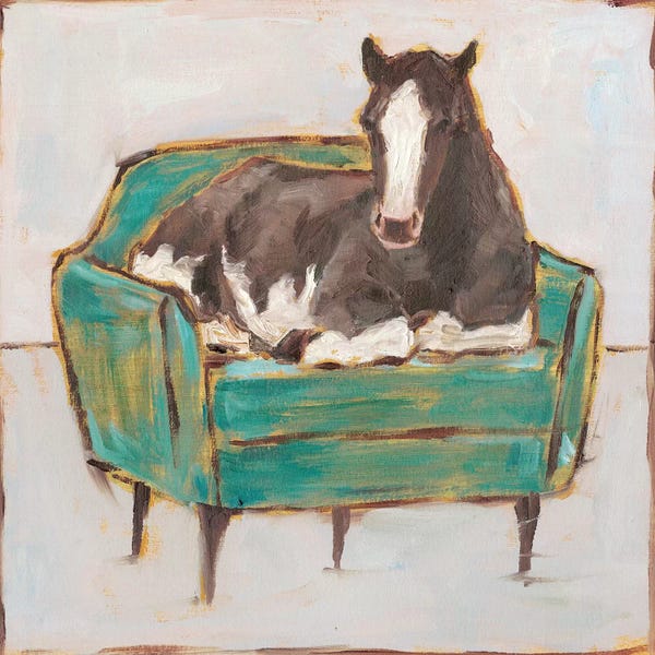 Creature Comforts I