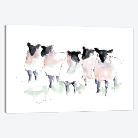 Minimalist Watercolor Sheep I Canvas Print #EHA803} by Ethan Harper Canvas Artwork