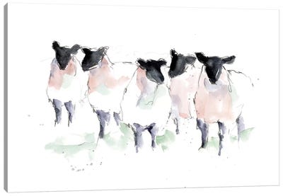 Minimalist Watercolor Sheep I Canvas Art Print - Sheep Art