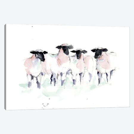 Minimalist Watercolor Sheep II Canvas Print #EHA804} by Ethan Harper Art Print
