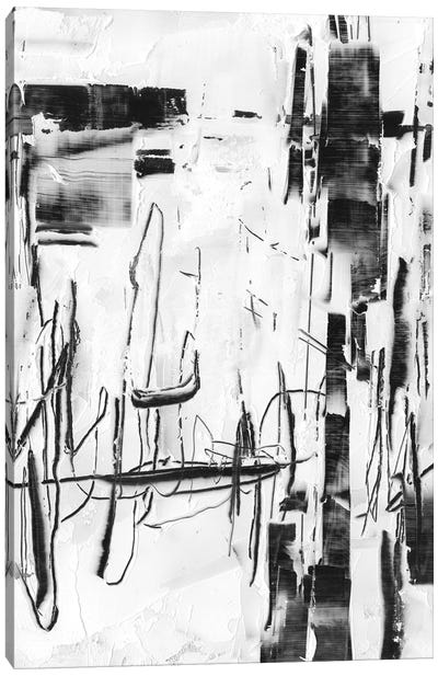 Polar Storm II Canvas Art Print - Black & White Abstract Art