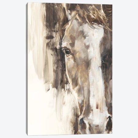 Cropped Equine Study I Canvas Print #EHA825} by Ethan Harper Canvas Art Print