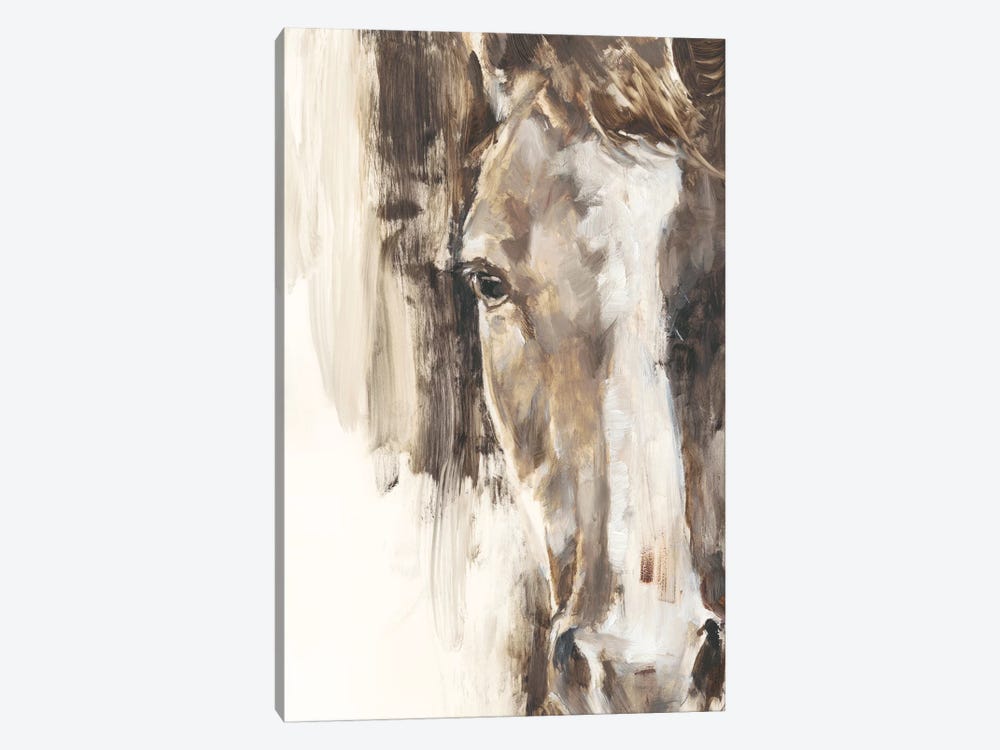Cropped Equine Study I by Ethan Harper 1-piece Canvas Print