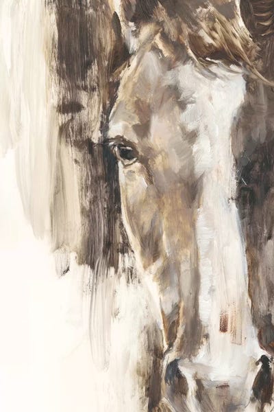 Horses: Cropped Equine Study I by Ethan Harper