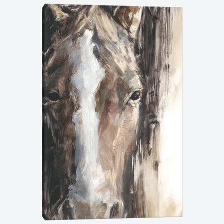 Cropped Equine Study II Canvas Print #EHA826} by Ethan Harper Art Print