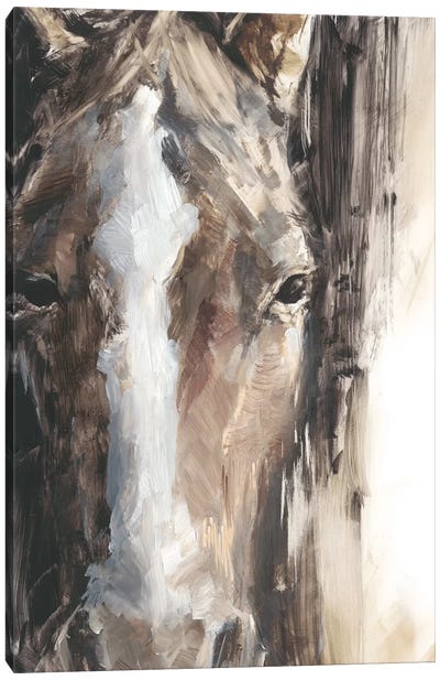 Cropped Equine Study II Canvas Art Print - Horse Art