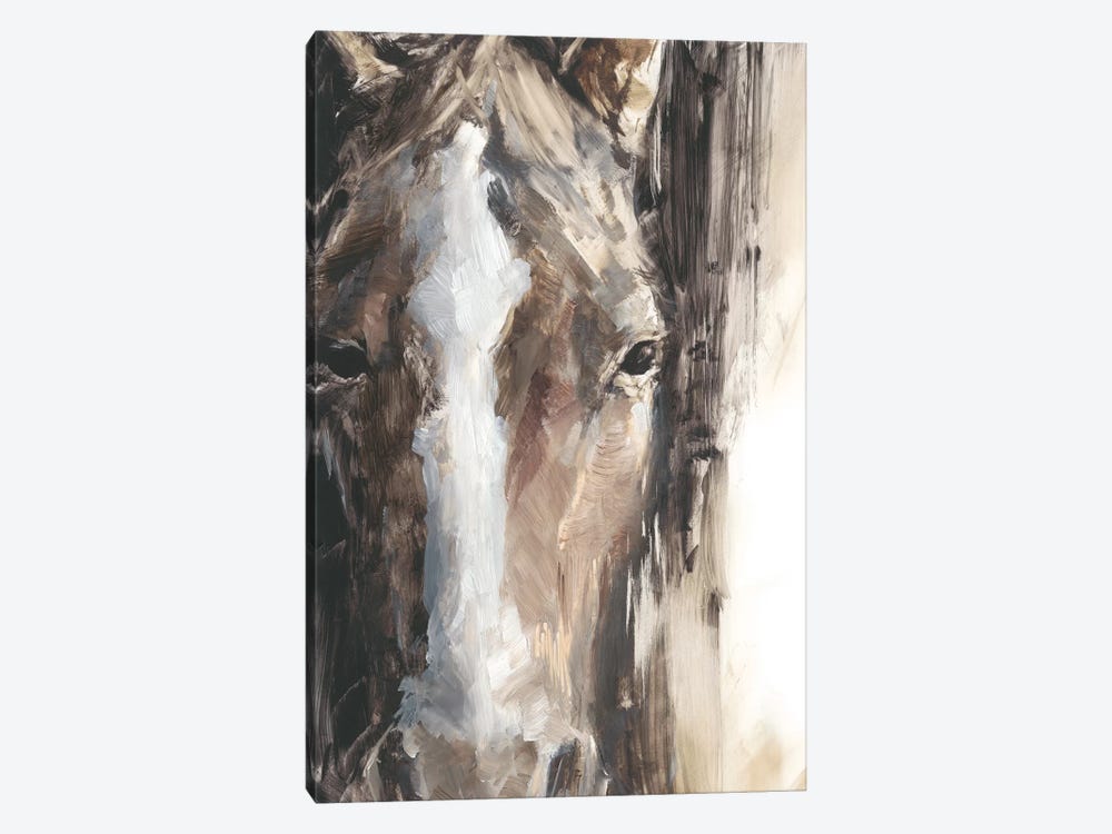 Cropped Equine Study II by Ethan Harper 1-piece Canvas Wall Art