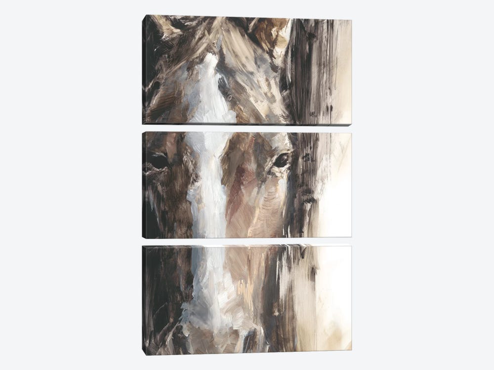 Cropped Equine Study II by Ethan Harper 3-piece Canvas Artwork