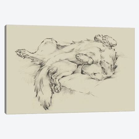 Dog Tired II Canvas Print #EHA828} by Ethan Harper Canvas Art