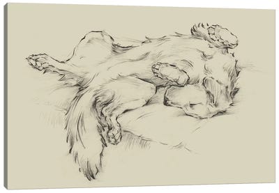 Dog Tired II Canvas Art Print - Ethan Harper