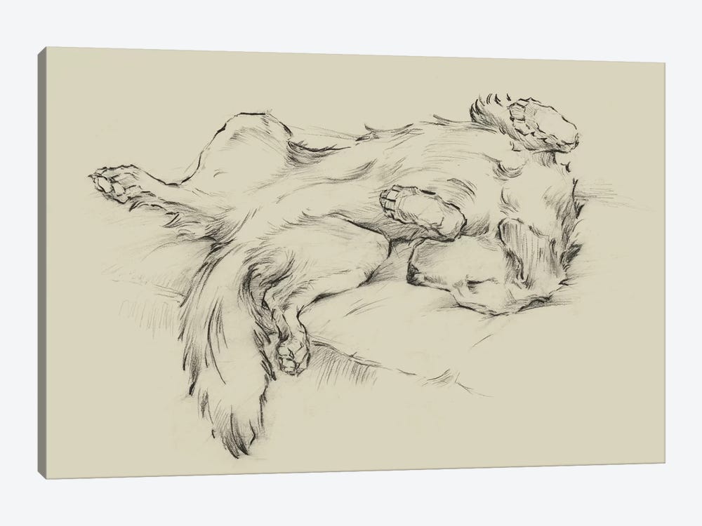 Dog Tired II by Ethan Harper 1-piece Canvas Artwork