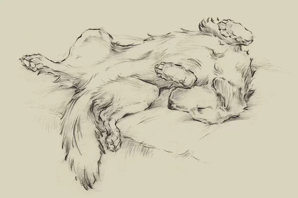 Hand Drawings & Sketches: Dog Tired II by Ethan Harper