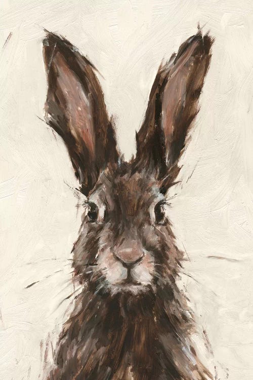 European Hare I