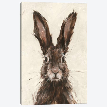European Hare I Canvas Print #EHA854} by Ethan Harper Canvas Artwork