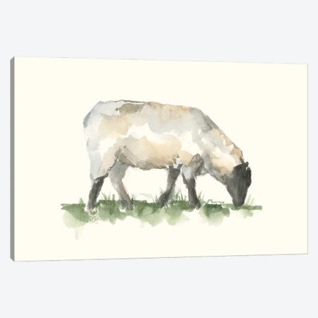 Grazing Farm Animal III Canvas Print #EHA857} by Ethan Harper Canvas Wall Art