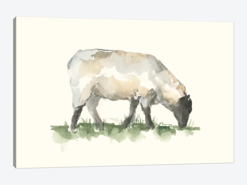Grazing Farm Animal III by Ethan Harper 1-piece Canvas Artwork