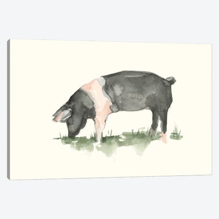 Grazing Farm Animal IV Canvas Print #EHA858} by Ethan Harper Art Print