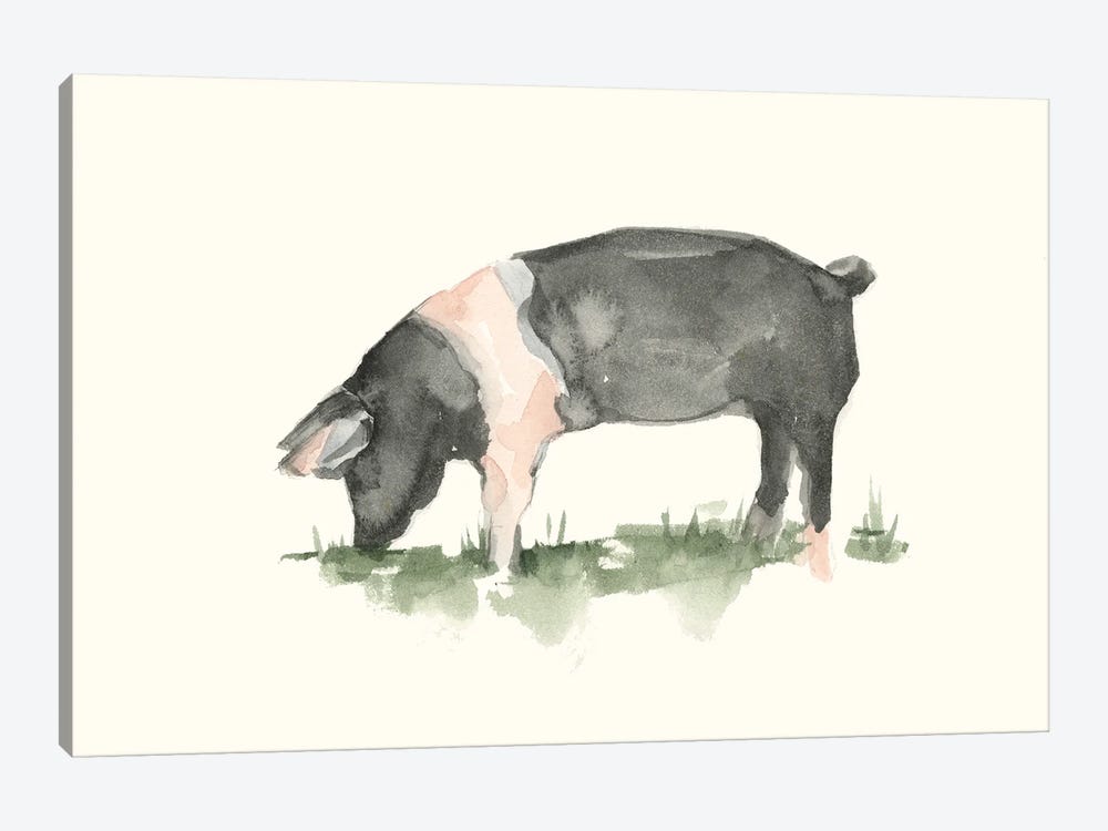 Grazing Farm Animal IV 1-piece Canvas Print
