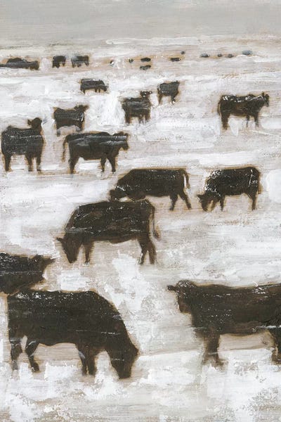 Bulls: Winter Grazing I by Ethan Harper