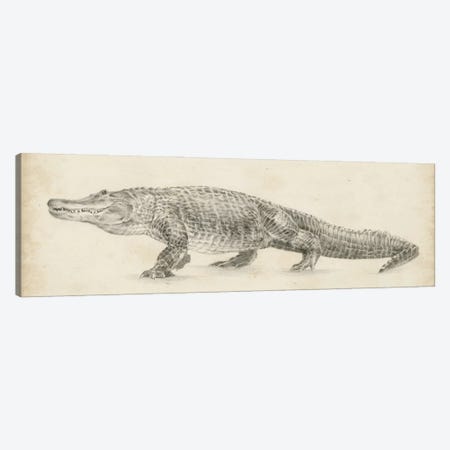 Alligator Sketch Canvas Print #EHA866} by Ethan Harper Canvas Print