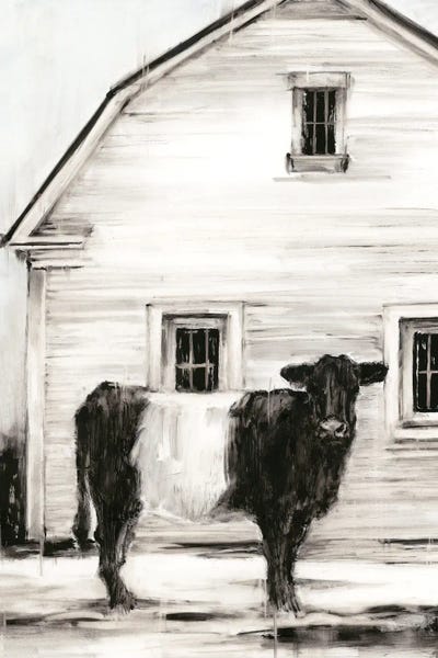 Kitchen: Belted Galloway I by Ethan Harper