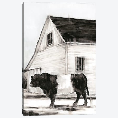 Belted Galloway II Canvas Print #EHA868} by Ethan Harper Canvas Artwork