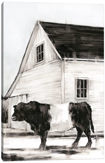 Belted Galloway II Canvas Art Print - Farmhouse Kitchen Art