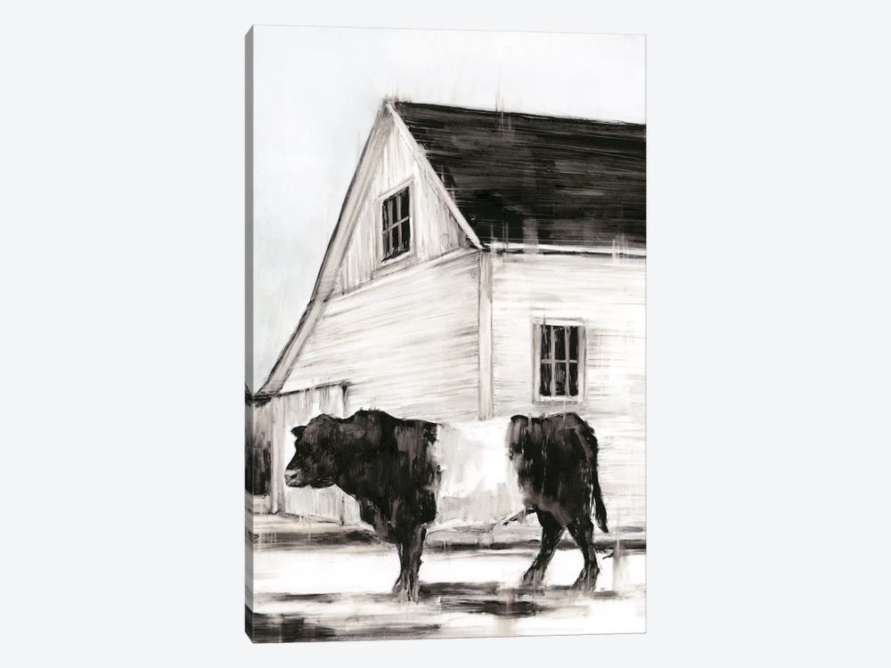 Belted Galloway II by Ethan Harper 1-piece Canvas Art