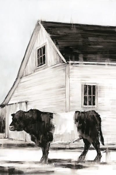 Kitchen: Belted Galloway II by Ethan Harper