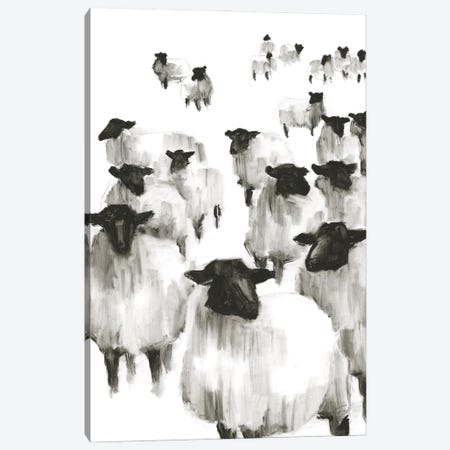 Counting Sheep I Canvas Print #EHA876} by Ethan Harper Canvas Wall Art