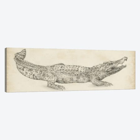 Crocodile Sketch Canvas Print #EHA880} by Ethan Harper Canvas Wall Art