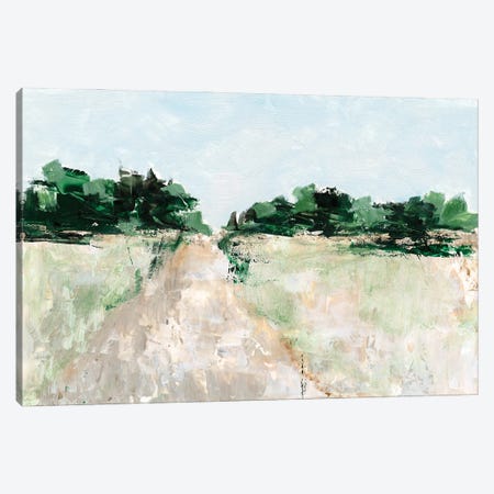 Mint Fields I Canvas Print #EHA890} by Ethan Harper Art Print