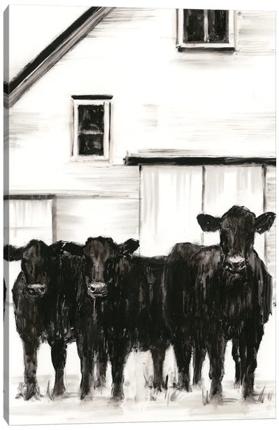 Standing Around I Canvas Art Print - Cow Art