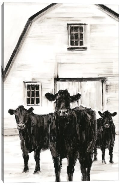 Standing Around II Canvas Art Print - Cow Art