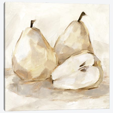 White Pear Study I Canvas Print #EHA913} by Ethan Harper Canvas Wall Art