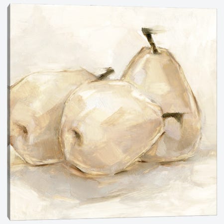 White Pear Study II Canvas Print #EHA914} by Ethan Harper Art Print