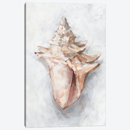 White Shell Study I Canvas Print #EHA915} by Ethan Harper Art Print