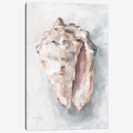 White Shell Study II Canvas Print #EHA916} by Ethan Harper Canvas Art Print