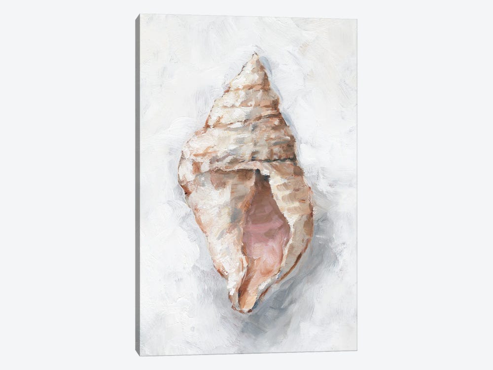 White Shell Study III by Ethan Harper 1-piece Art Print