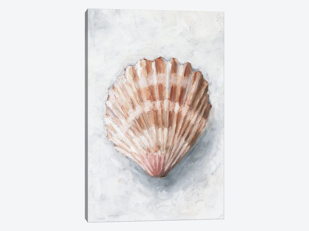 White Shell Study IV by Ethan Harper 1-piece Canvas Artwork