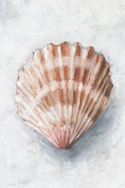 Sea Shells: White Shell Study IV by Ethan Harper