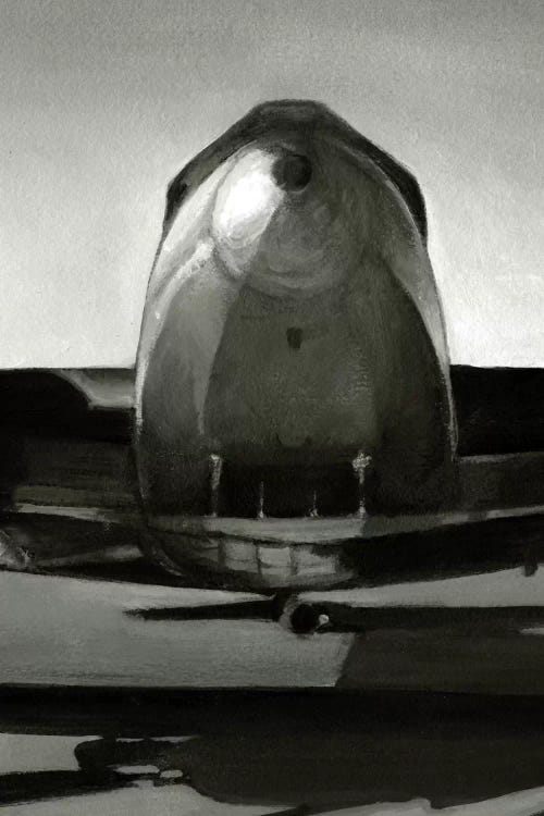 Vintage Flight Triptych Panel II by Ethan Harper wall art