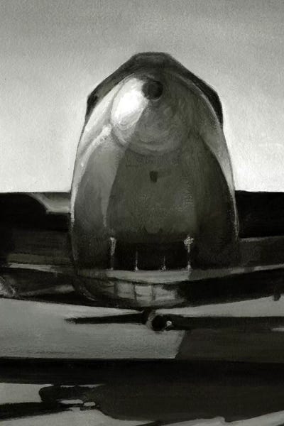 Ethan Harper: Vintage Flight Triptych Panel II by Ethan Harper