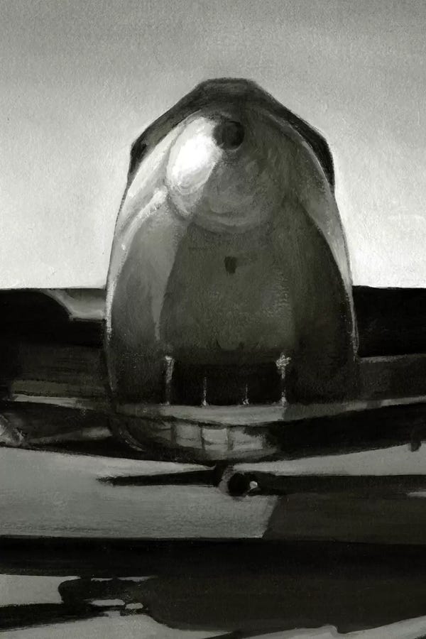 Vintage Airplanes