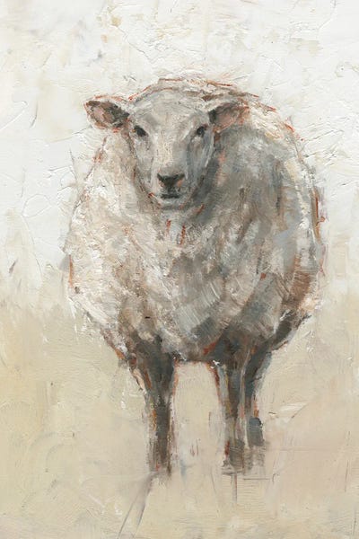 Fluffy Sheep I by Ethan Harper gallery poster