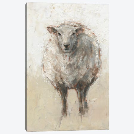 Fluffy Sheep I Canvas Print #EHA921} by Ethan Harper Canvas Print