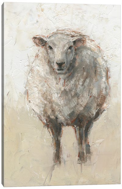 Fluffy Sheep I Canvas Art Print - Sheep Art