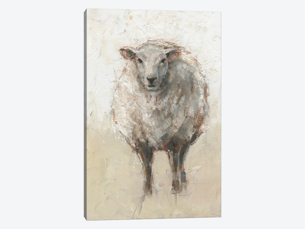 Fluffy Sheep I by Ethan Harper 1-piece Canvas Artwork