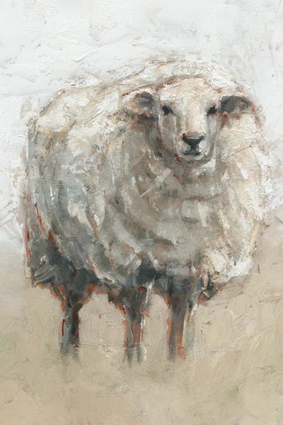 Fluffy Sheep II by Ethan Harper gallery poster